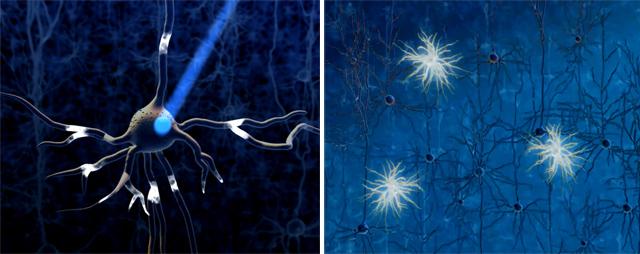 People ‹ Optogenetics: Molecules enabling neural control by light — MIT ...