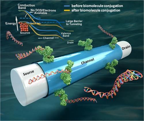 People ‹ Ultra-sensitive electrical biosensors for point-of-care ...