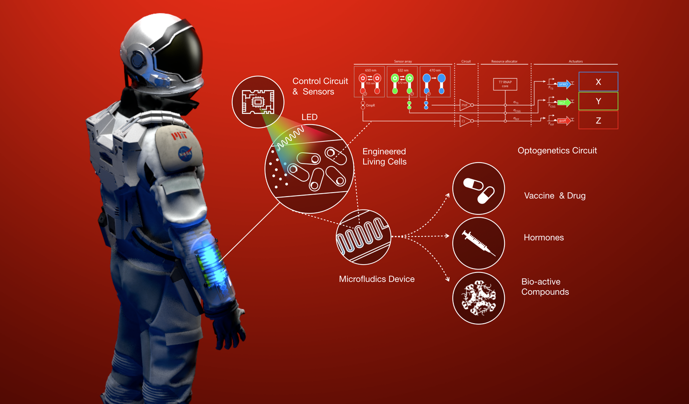 Overview ‹ Bio-Digital Wearables for Space Health Enhancement — MIT ...