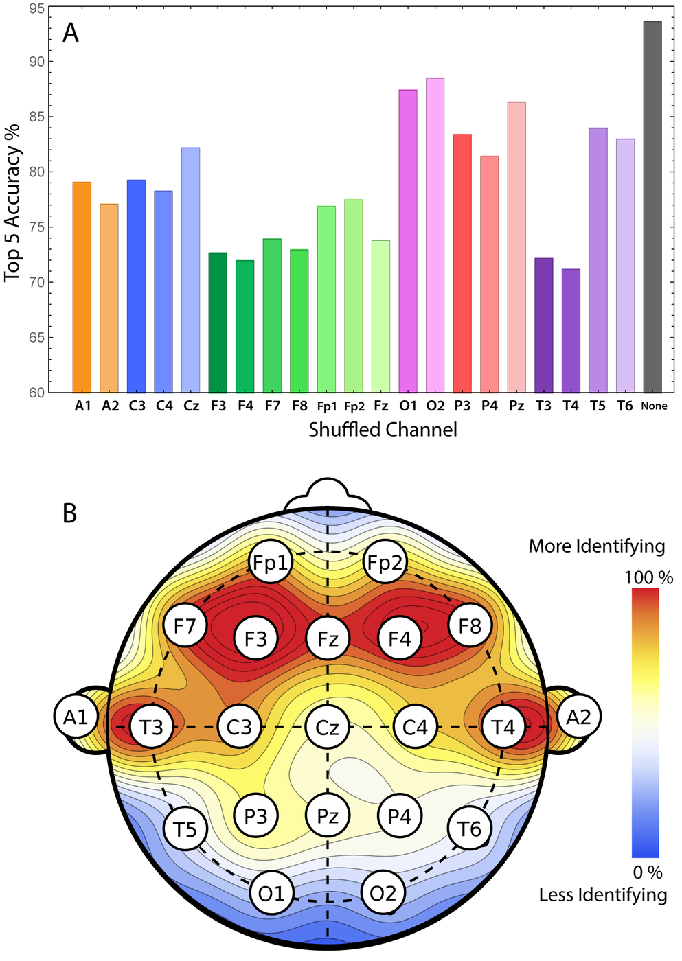 EEG Biometrics