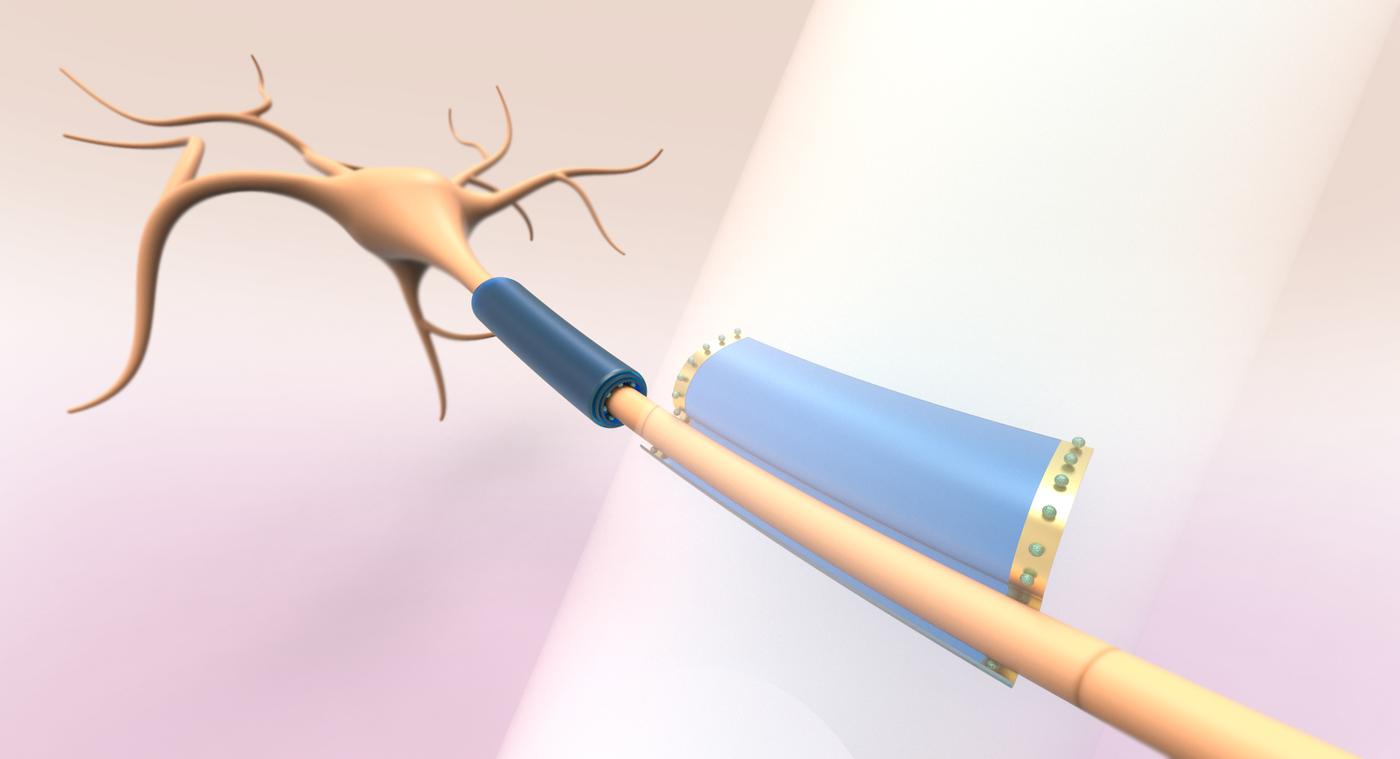 Tiny tubes wrap around brain cells — MIT Media Lab