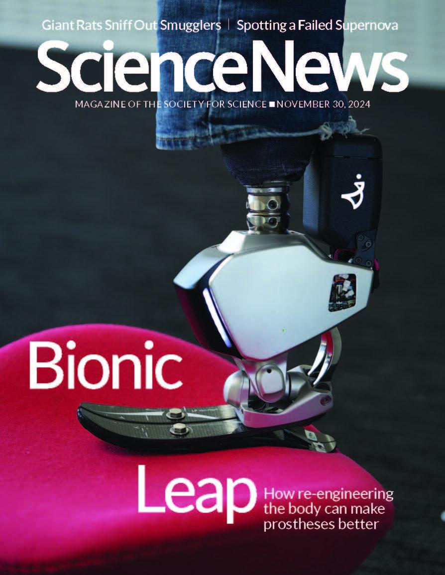 Brain-controlled prosthetic limbs take steps closer to reality — MIT ...