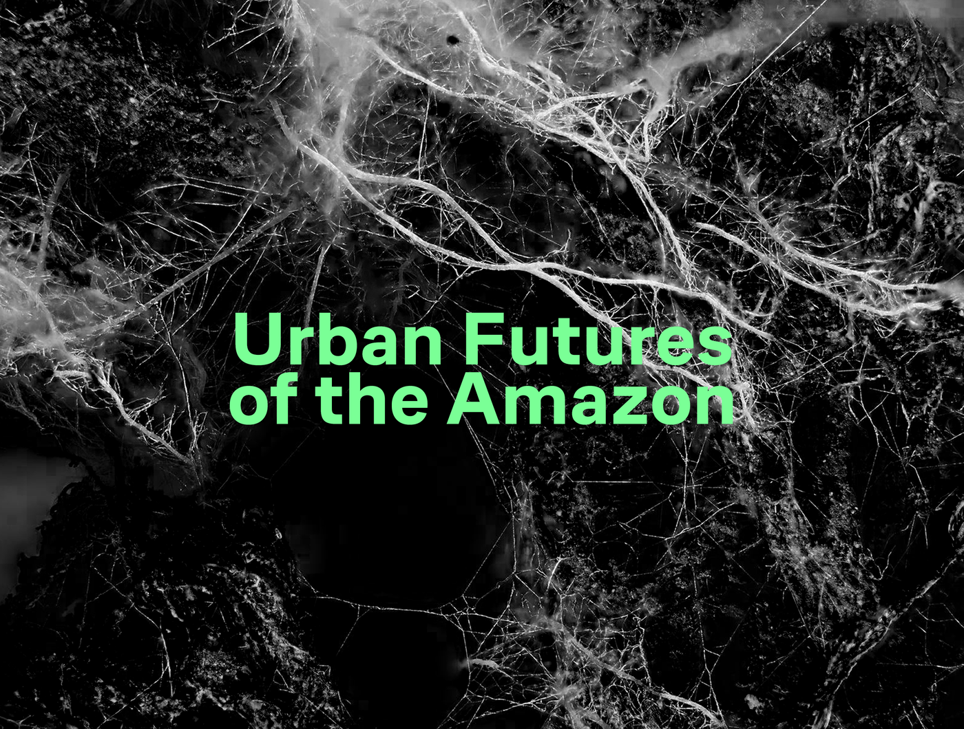 Urban Futures of the Amazon — MIT Media Lab