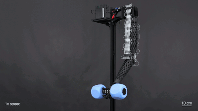 GIF of a soft artificial muscle mounted on a test stand as it contracts and relaxes, lifting and lowering a small blue weight. Wires connect the device to electronics above, demonstrating controlled robotic motion.