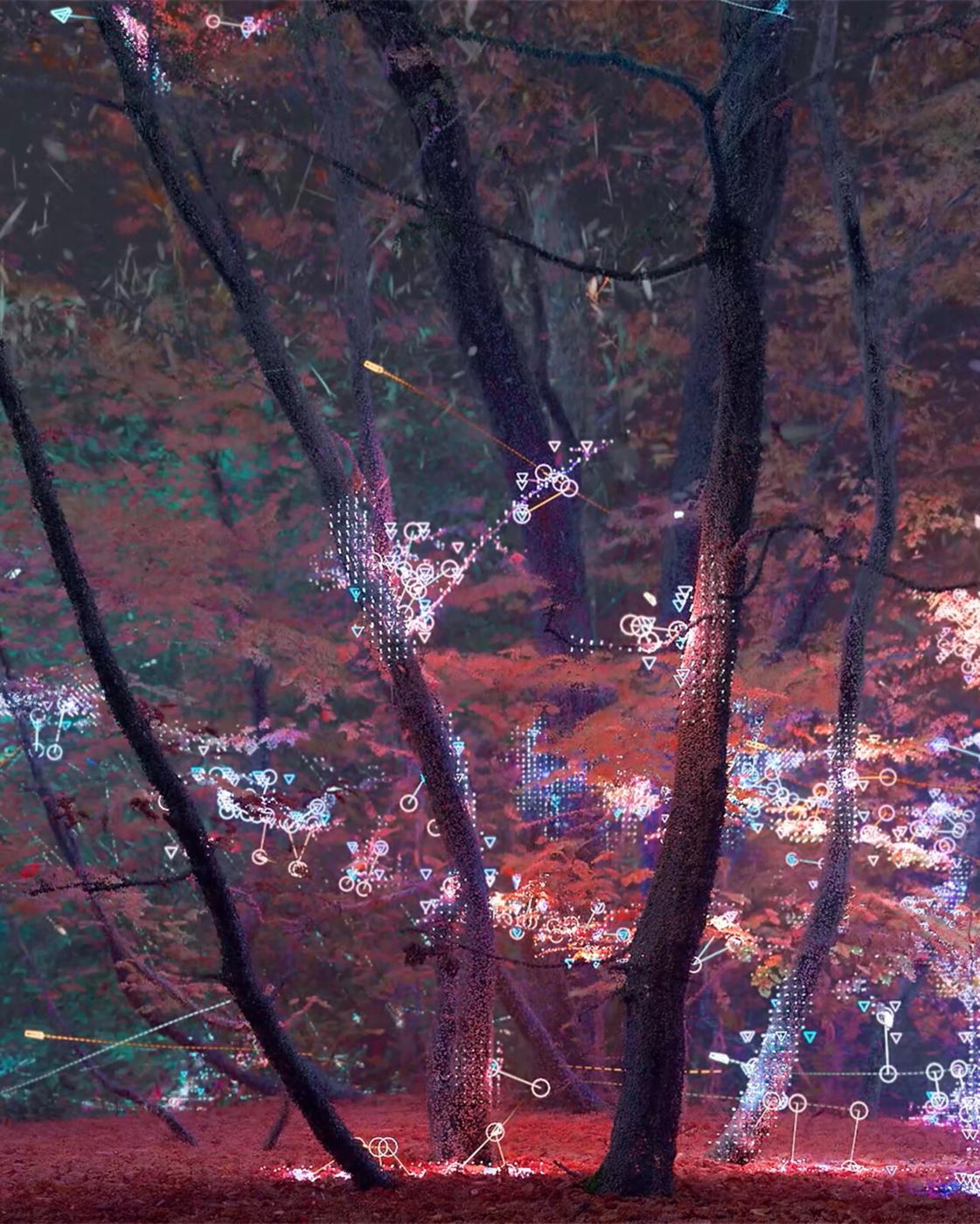 Cyborg plants are coming to a city near you — MIT Media Lab
