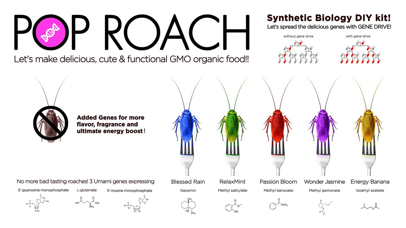 Overview ‹ Pop Roach — MIT Media Lab